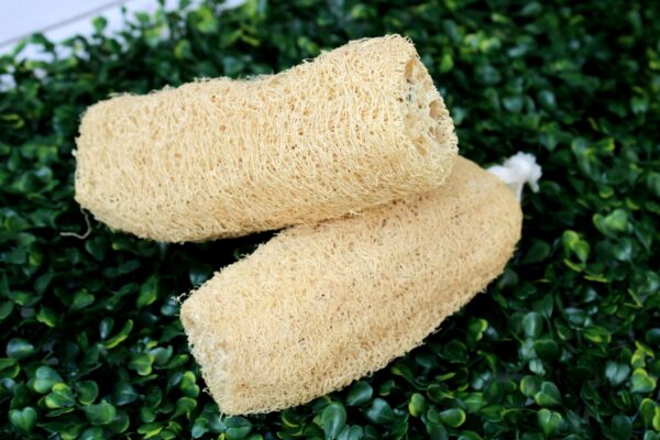 Natural Loofah