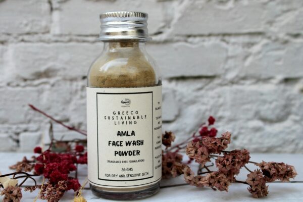 Amla Face wash<br><span style="font-size: 14px;">(for dry and sensitive skin. Fragrance free formulation)</span> - Image 2